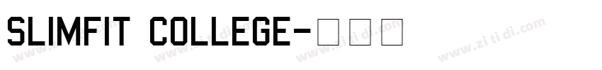 Slimfit College字体转换